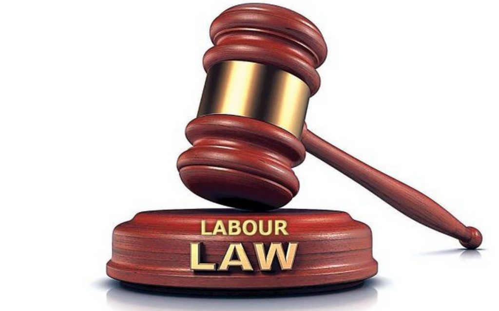 labour lawyer