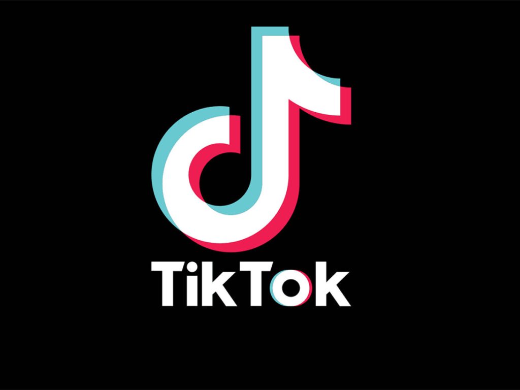 TikTok downloader